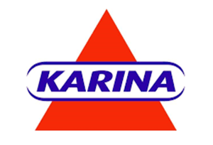 logo Karina - site